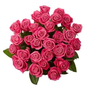 Bunch of 30 Pink Roses